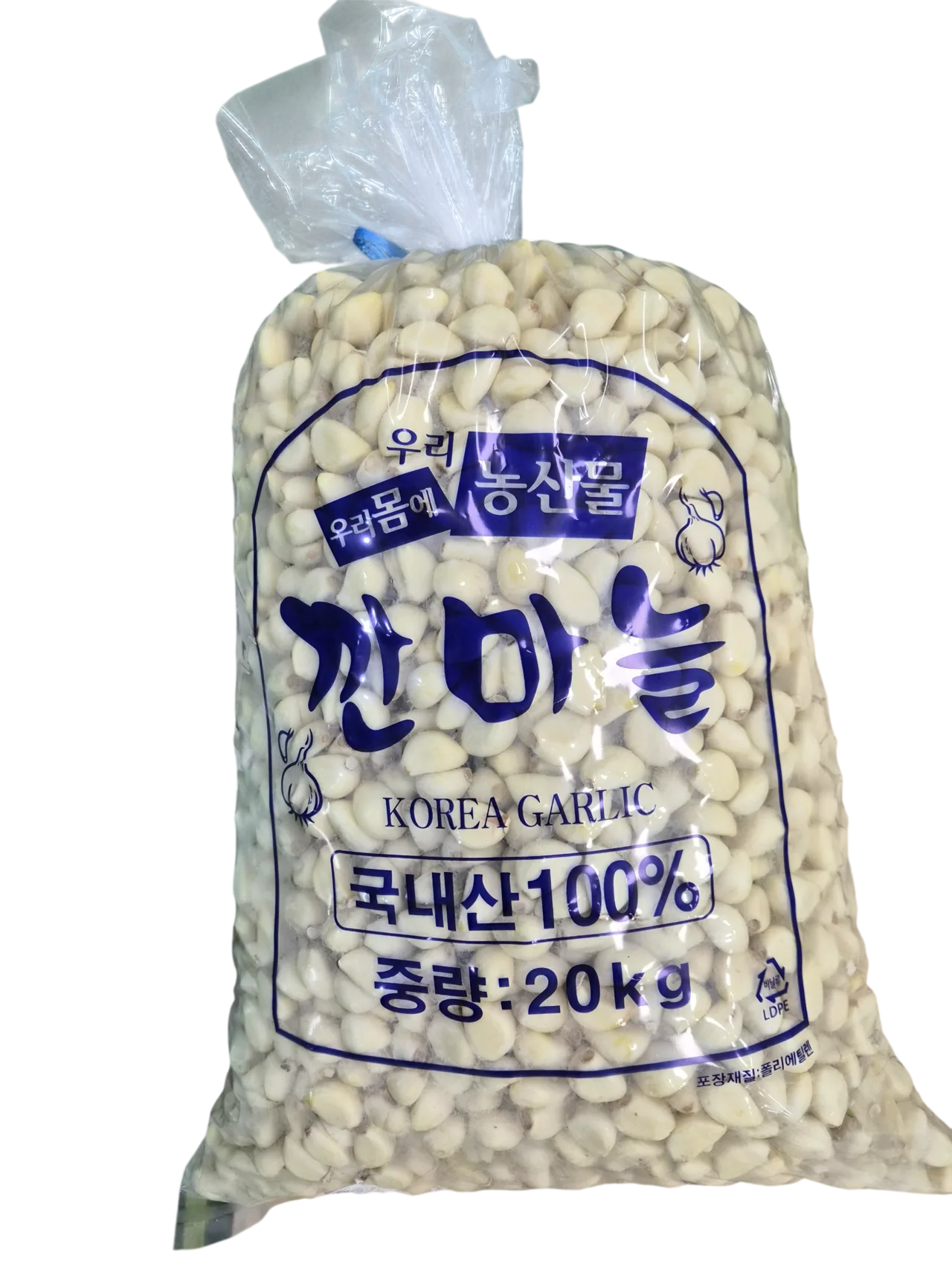 신선 원물